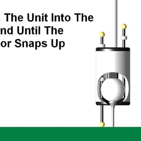 snap up snap up